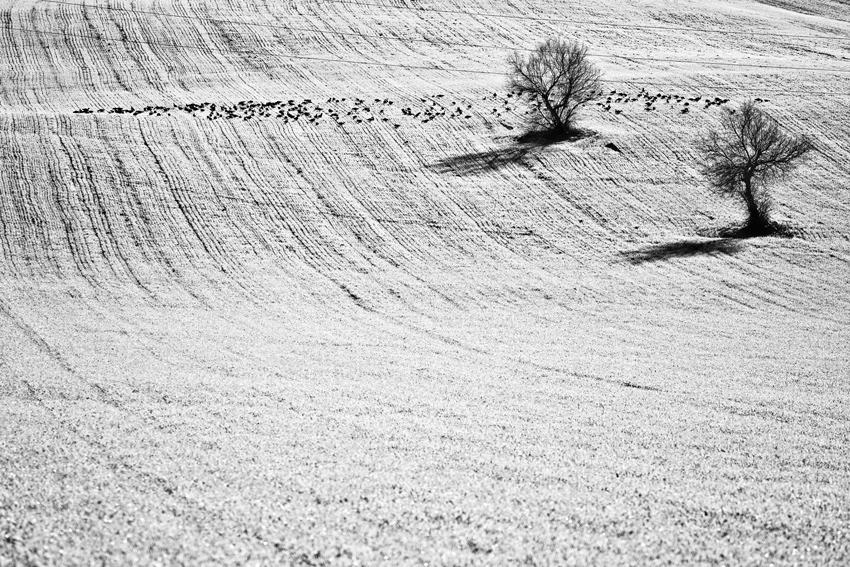 Paesaggio interiore 2