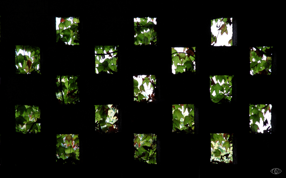 astratto al parco Sigurt�