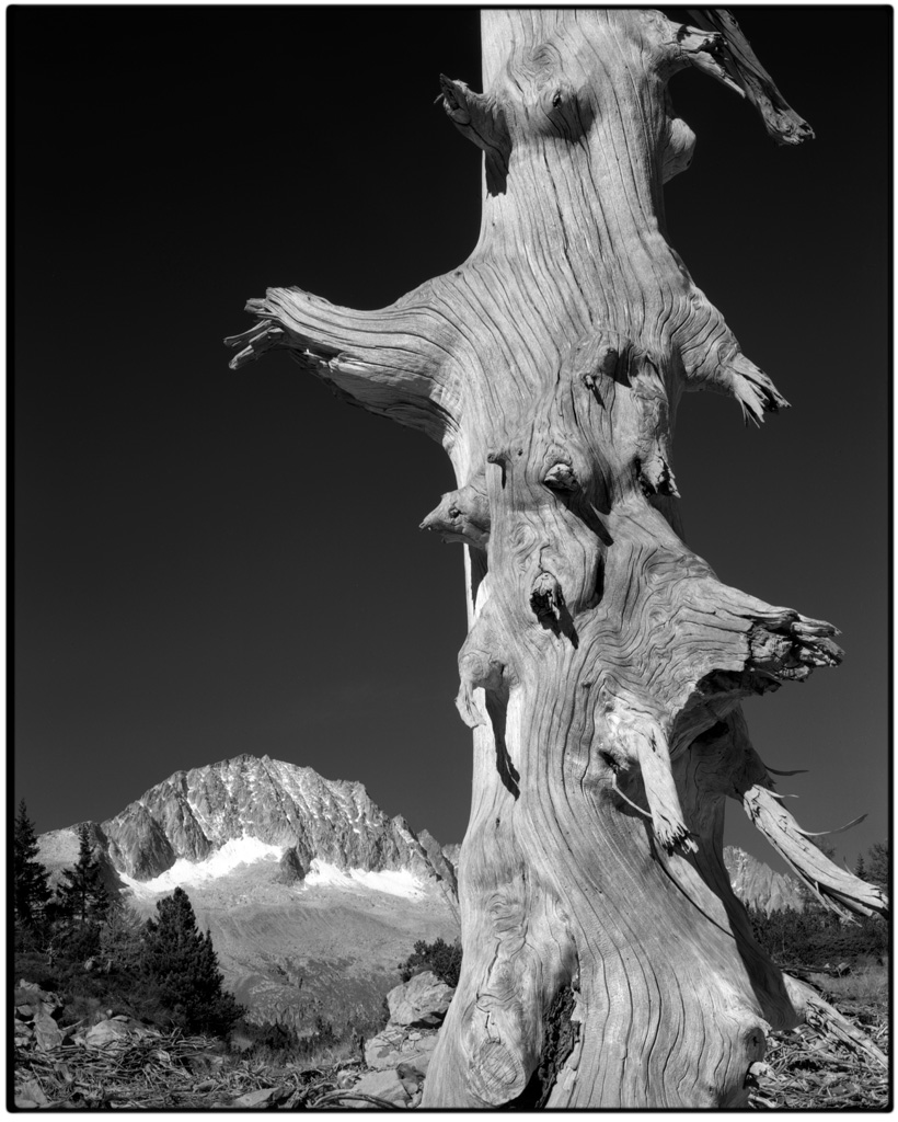 val di fumo, carr� alto