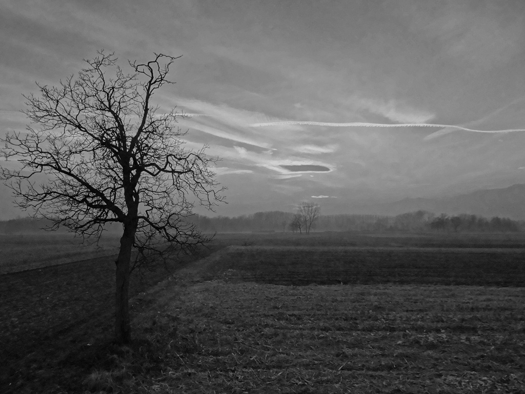 Paesaggio in b&n