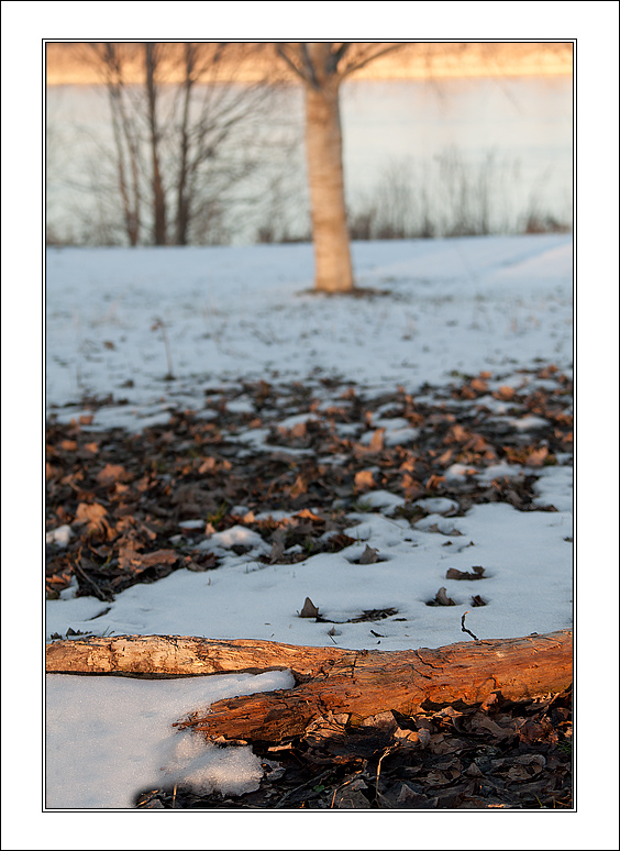 Per sempre fratelli....