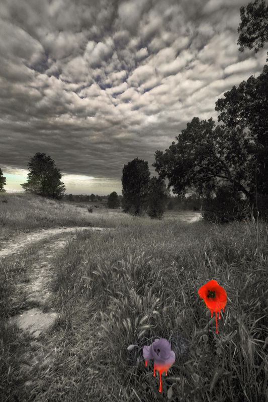 un'altra estate usata ?