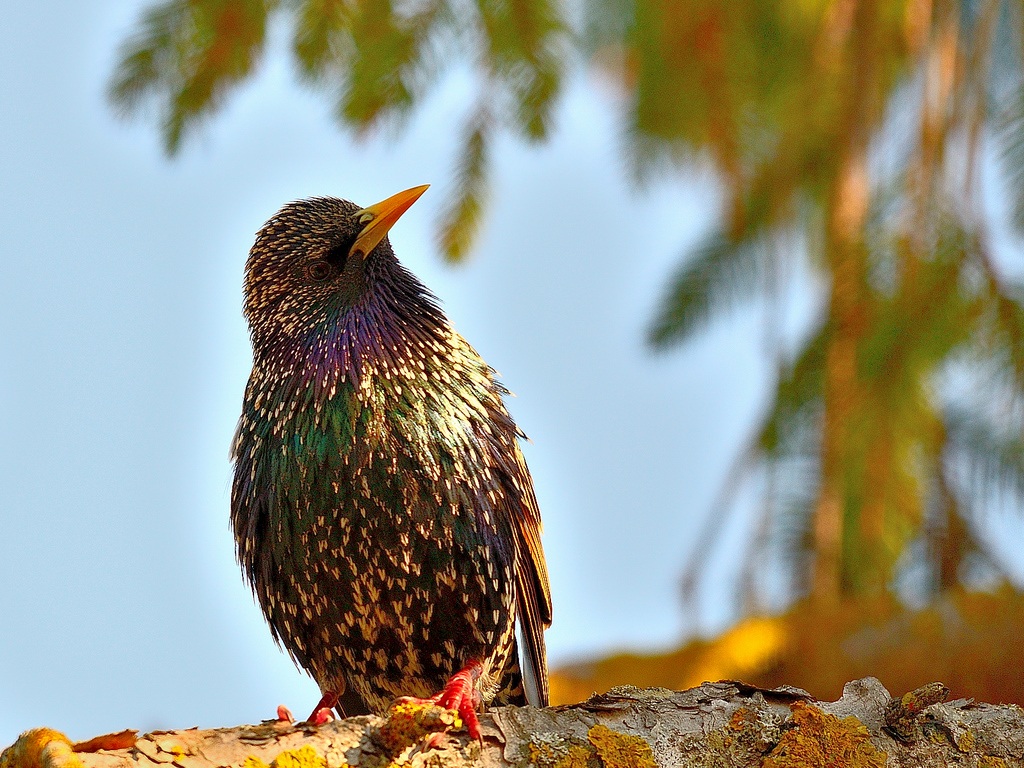 Dalla mia finestra..