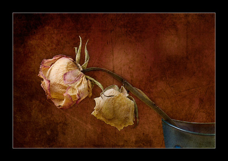 Still life a modo mio