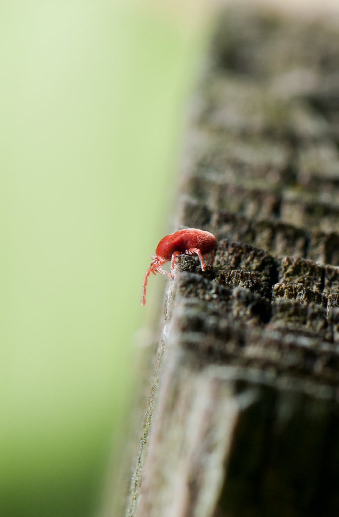sull'orlo del baratro