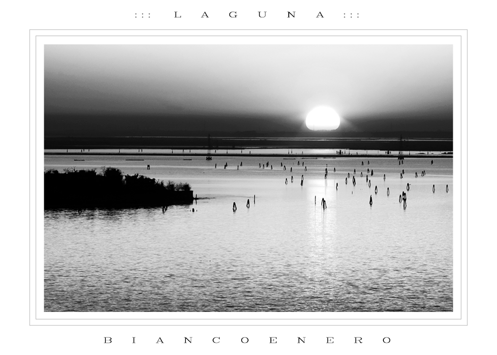 ::: GLI SPETTATORI DEL SOLE :::