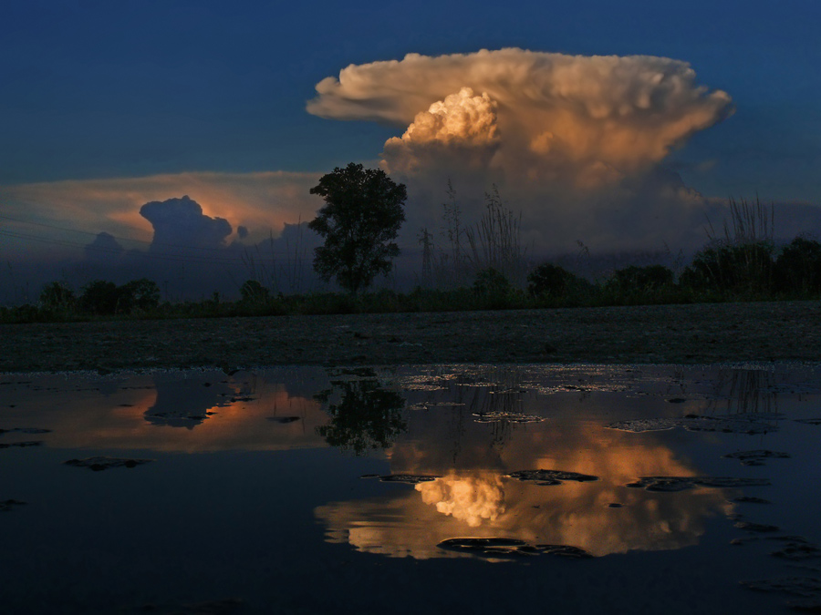 stagno di una notte di mezza estate
