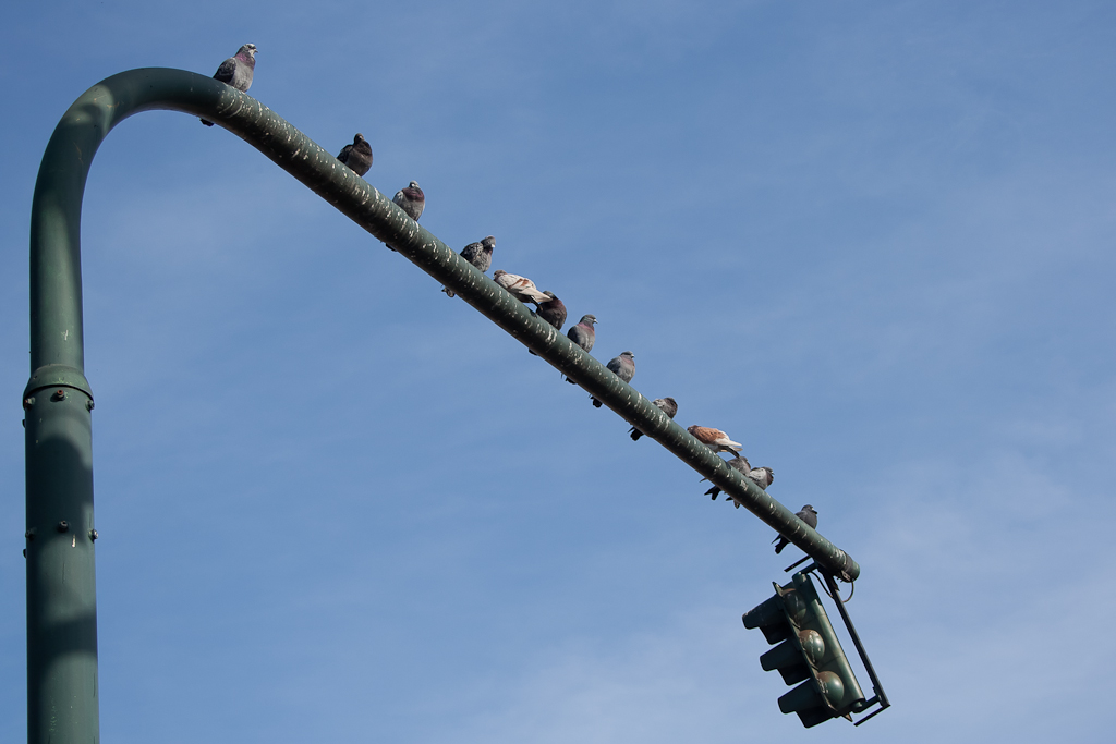 ...aspettando il verde...