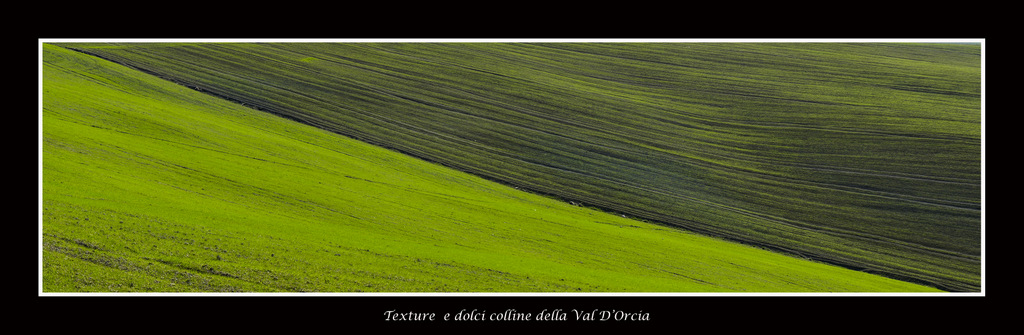 Texture e dolci colline della Val D'Orcia