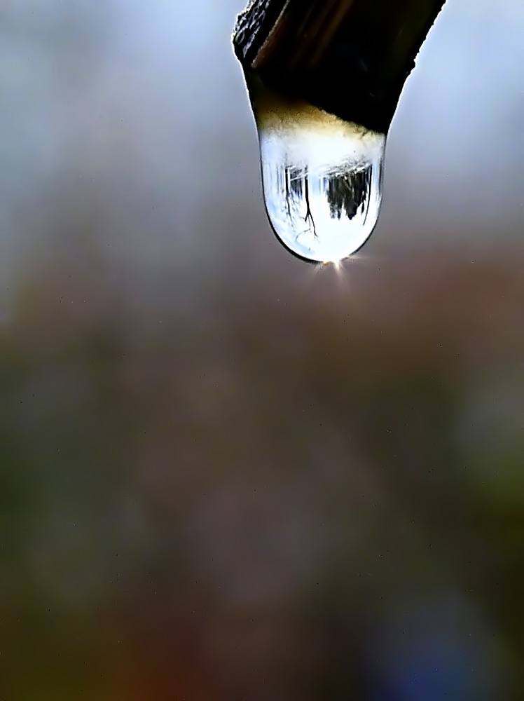 Piangere come una vite tagliata!!!!!