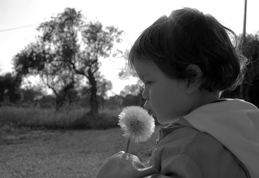 Prove di soffio alla sera