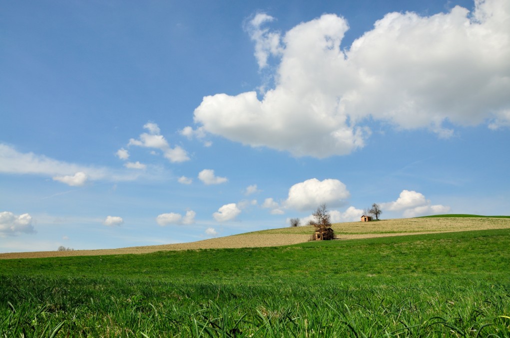Paesaggio Rurale minimale