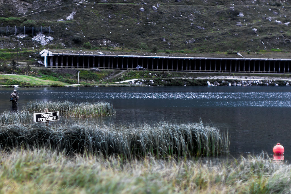 Tutto il mondo � Paese