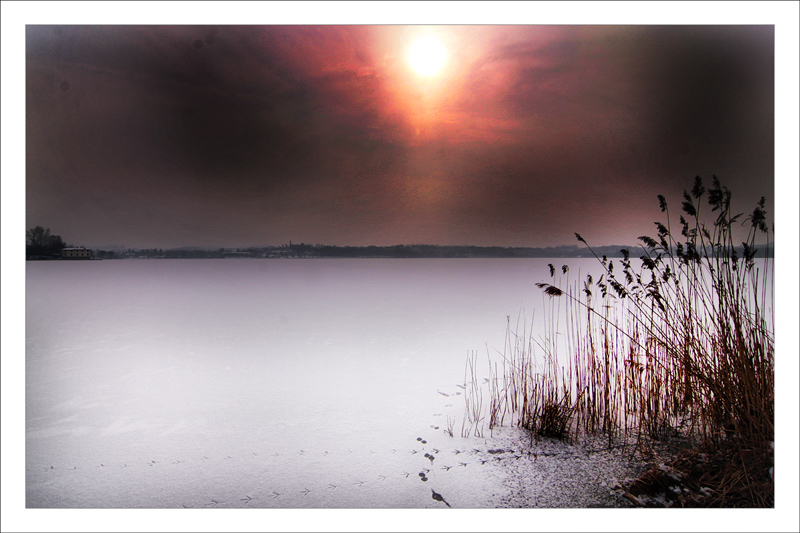 sogno di fine inverno