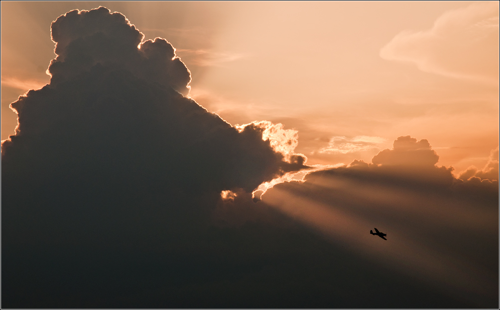 Il Volo Del Calabrone