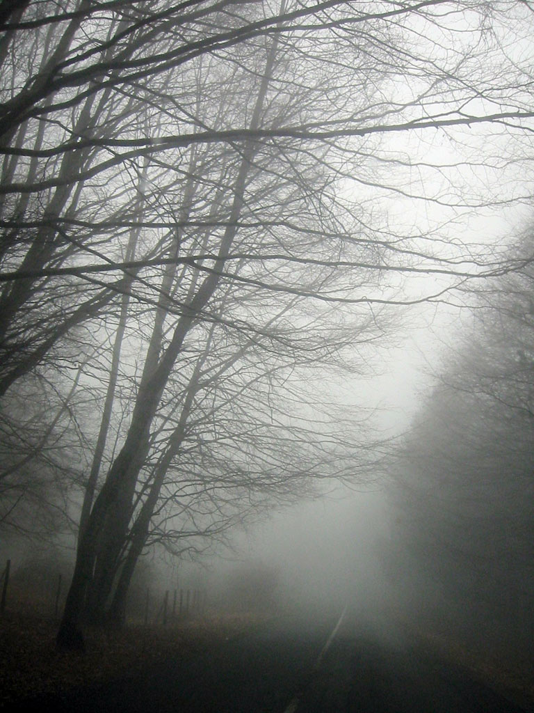 Trame nella nebbia