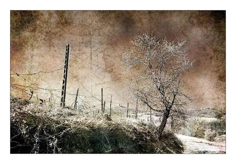 Paesaggio (interpretazione #3 )