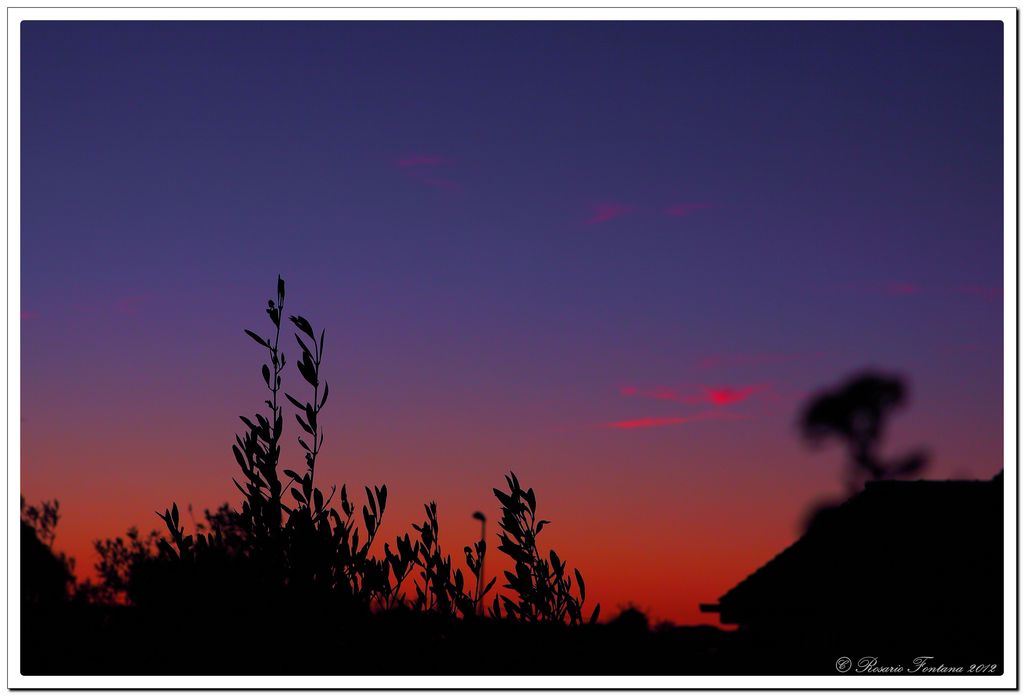 La tavolozza di Dio [1/10]