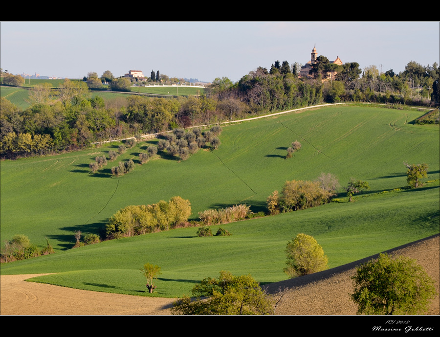 Campagne di San Marcello (AN), Marche