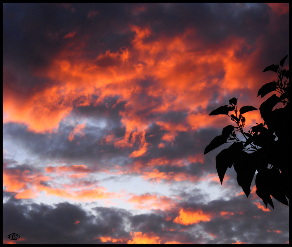 momenti irripetibili
