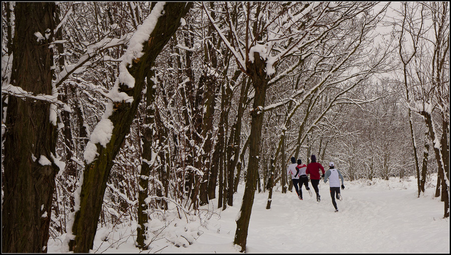 i fantastici quattro