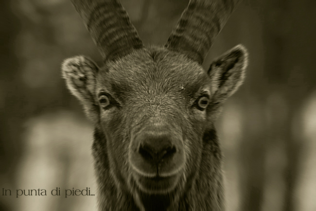 Ce matin, mon Ami, a d�cid� de me faire un sourire...