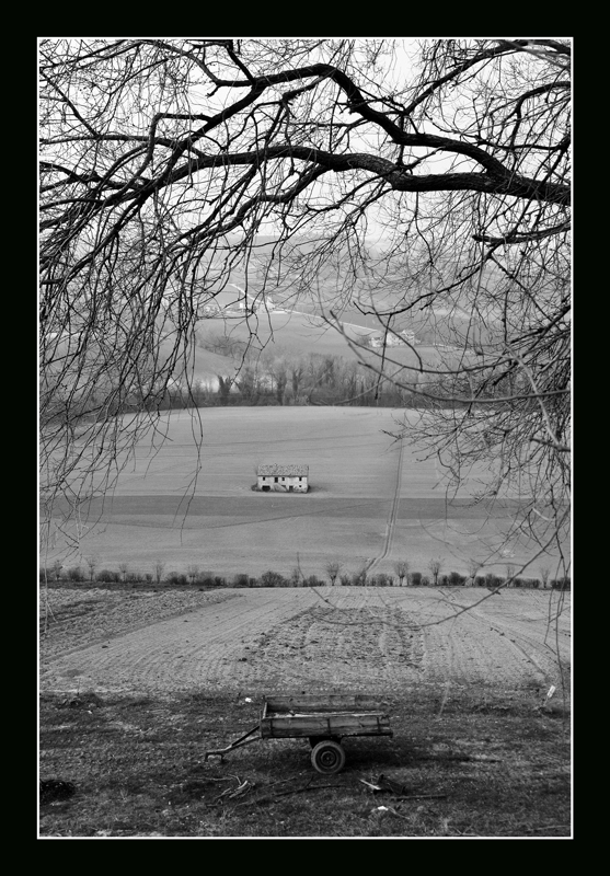 "...Il carretto passava..."