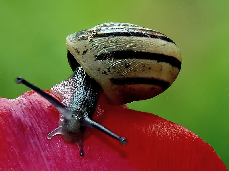 C'ho visto doppio.....