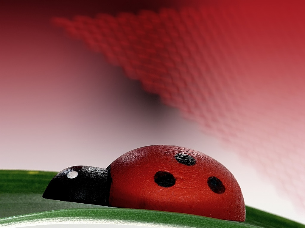 Non stava ferma un attimo!!!!!!