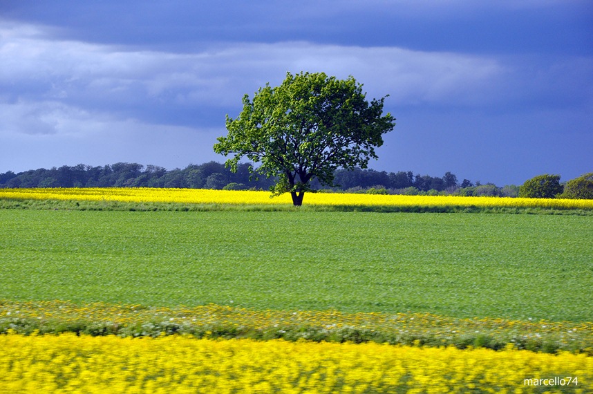 Arriva la primavera.