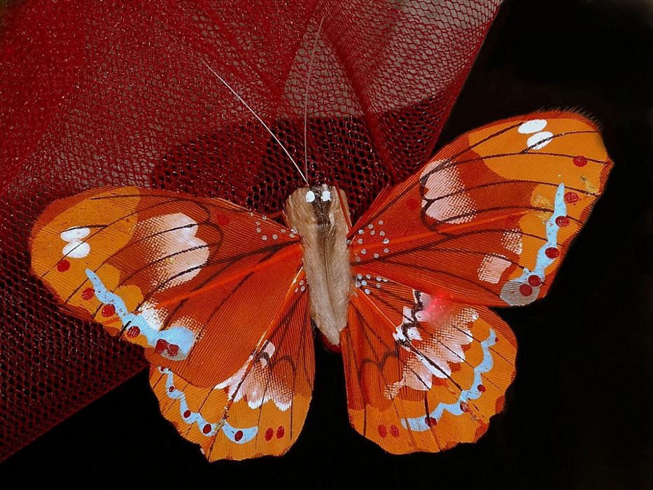 Qualcuno m'aiuta con l'ID!!!!!!