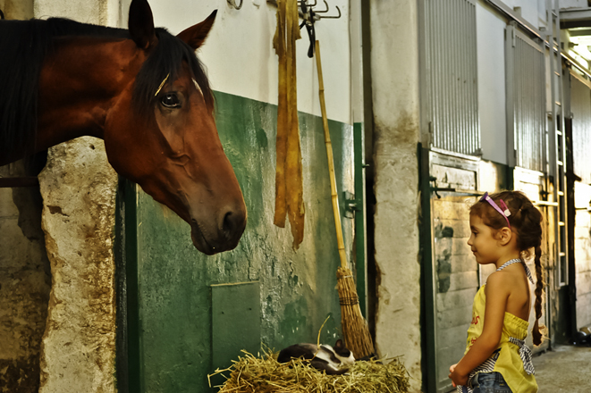 IL CAVALLO  E LA  BAMBINA