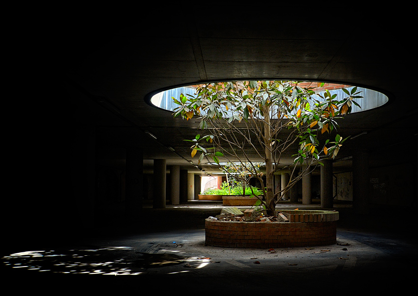 There life down here