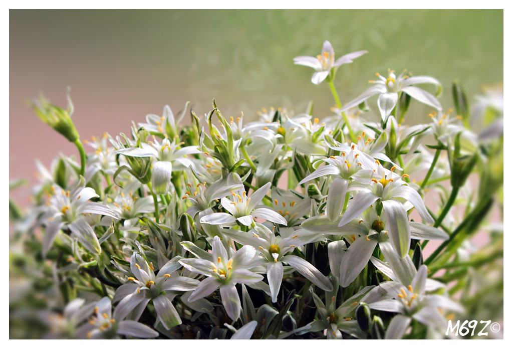 mi sono fatto un mazzo cos�...