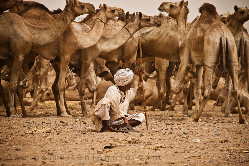Il mercato di Shalatin