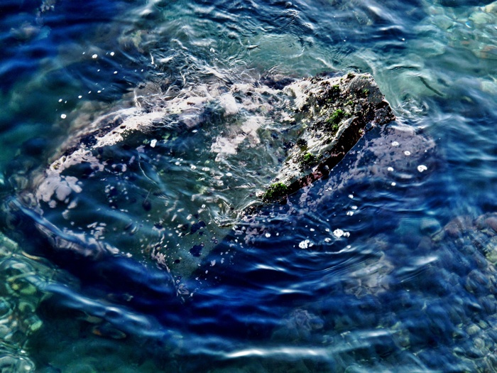 Ofelia (particolare)