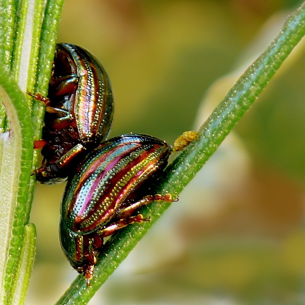 Stiamo vicini vicini......