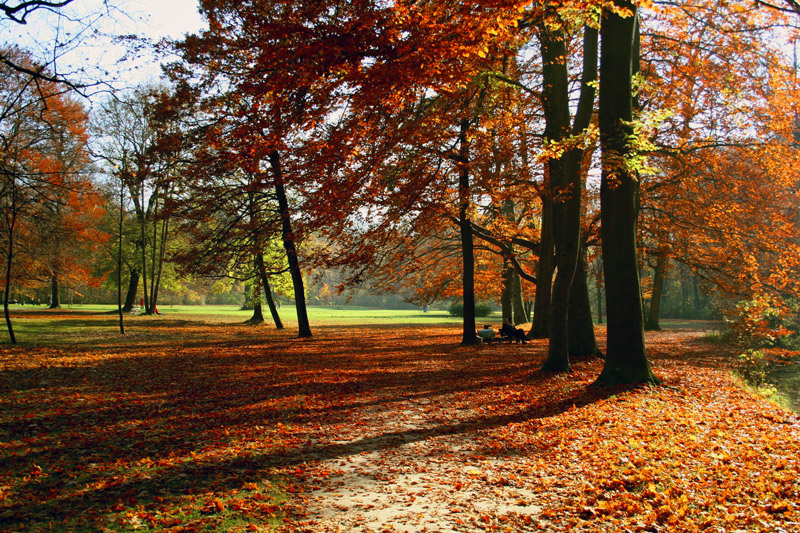 Englischer Garten