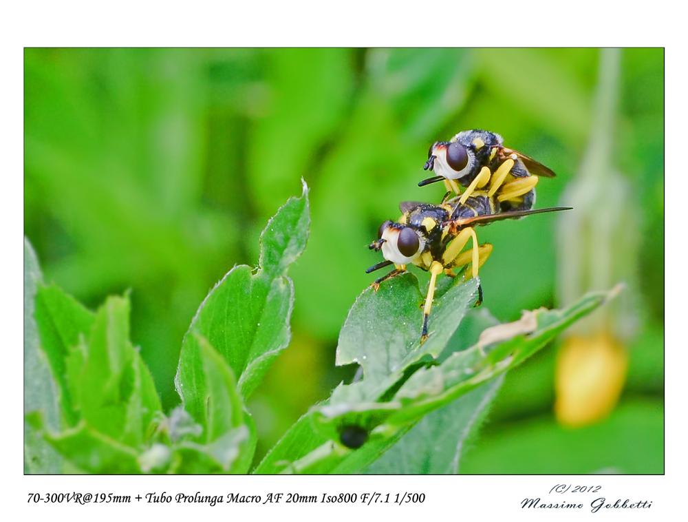 mmmmmhhh in Macro o Eros e Nudo???