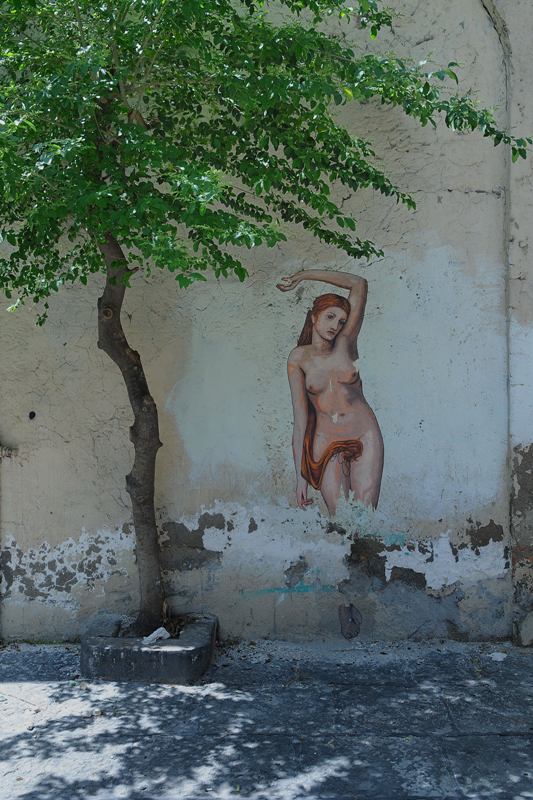 L'albero dell'amore.