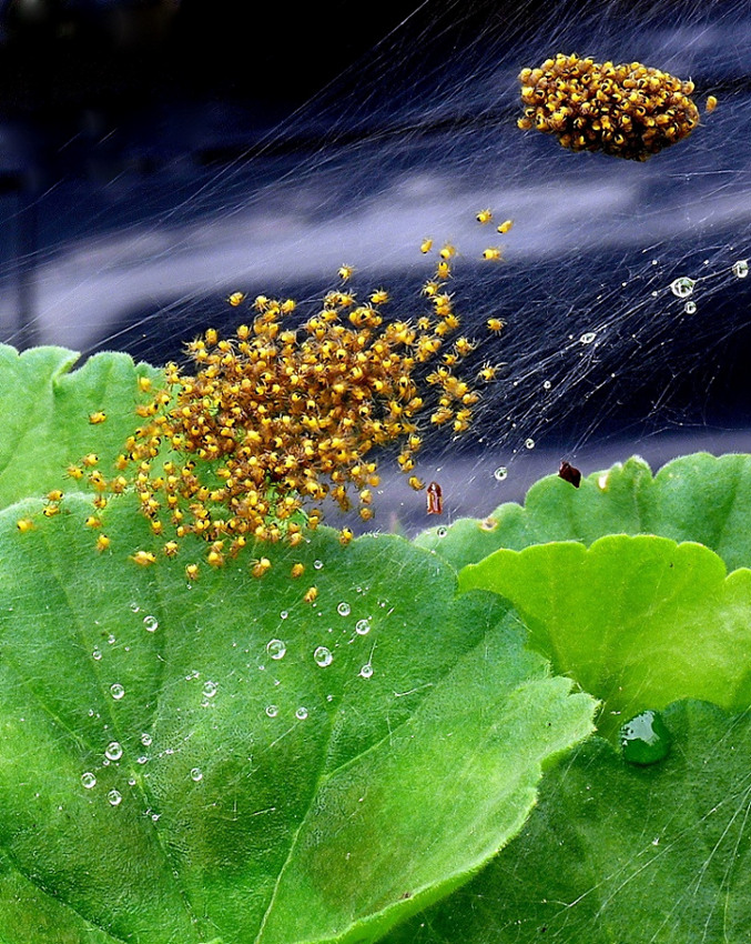 Ehi dormiglioni......