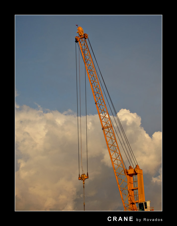 Crane