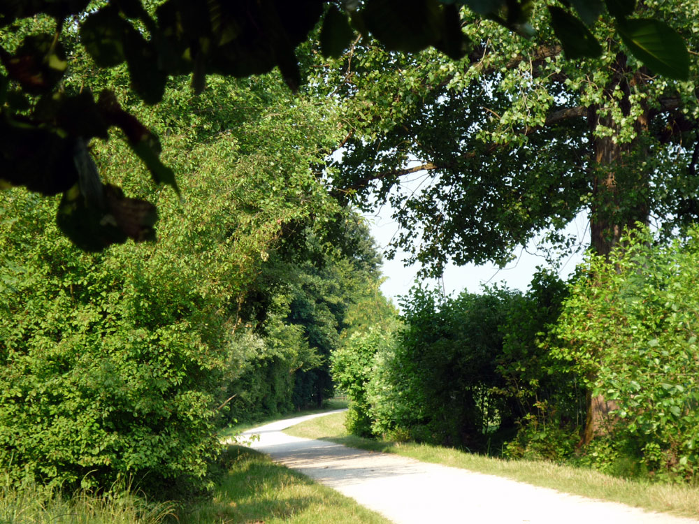 106  .....LA  SVOLTA