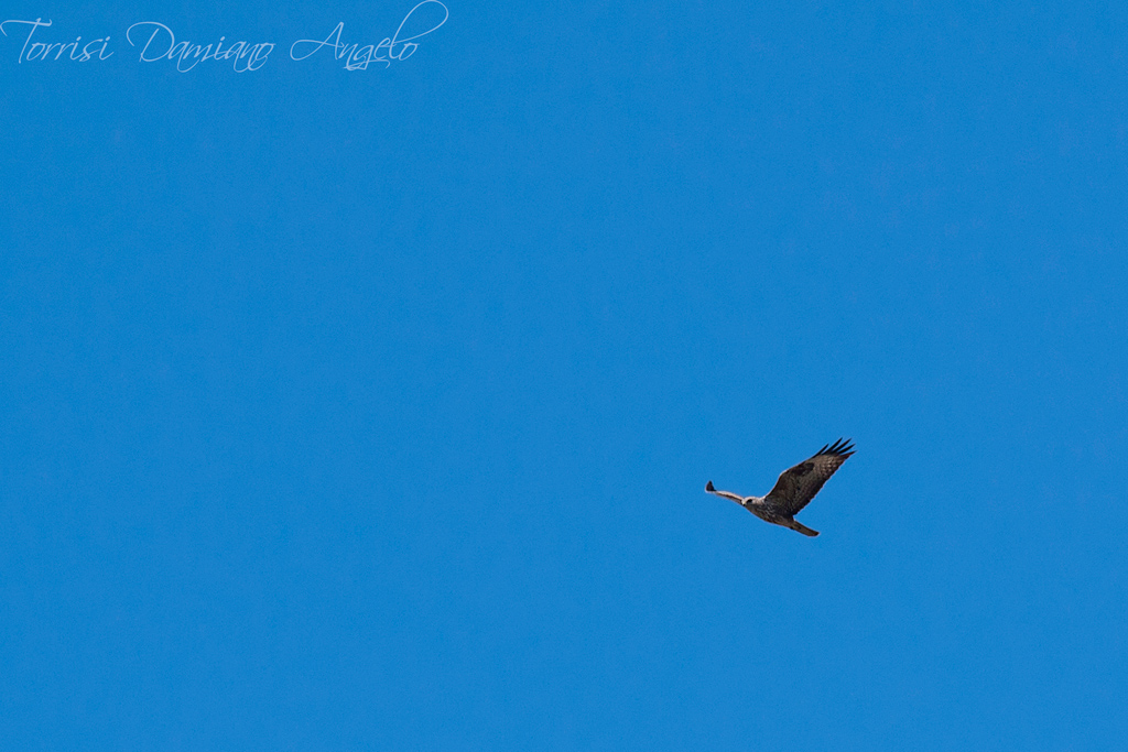 cercando la sua met�