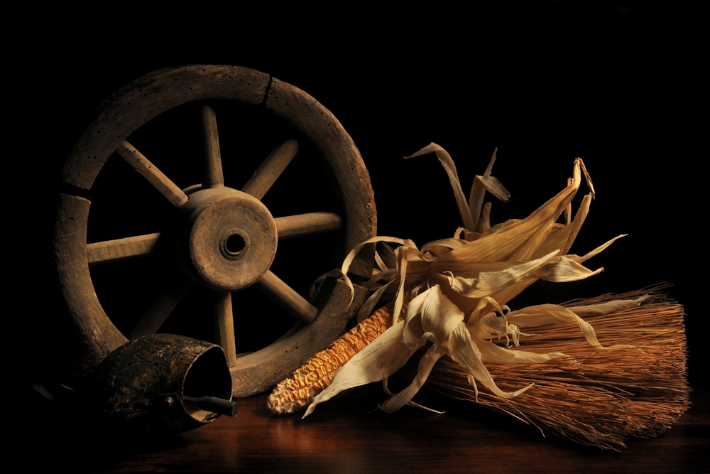 Nella Vecchia Cantina