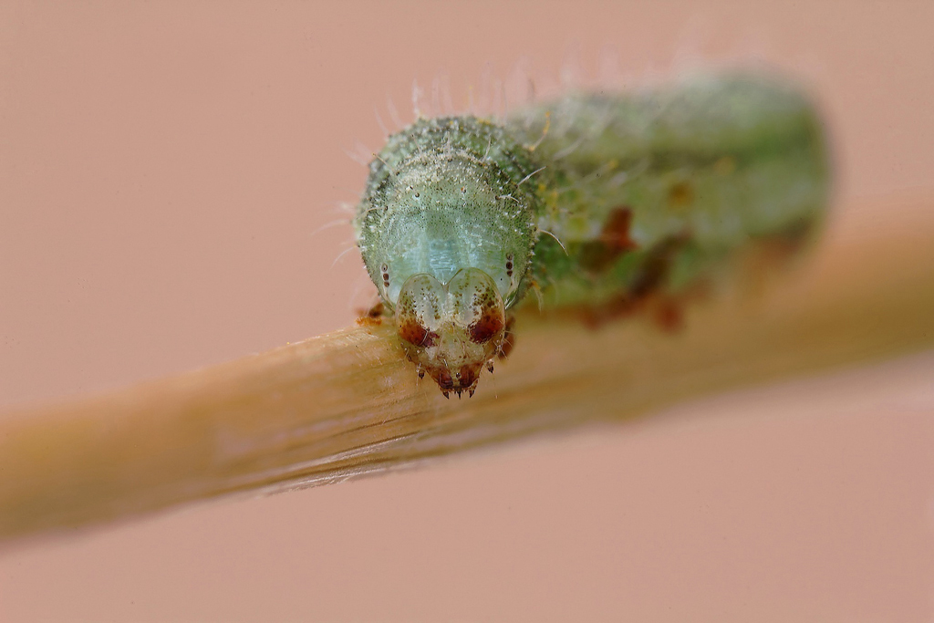 Esercizio...col tubo....!!!