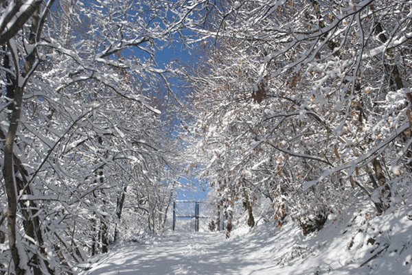 Le porte del paradiso