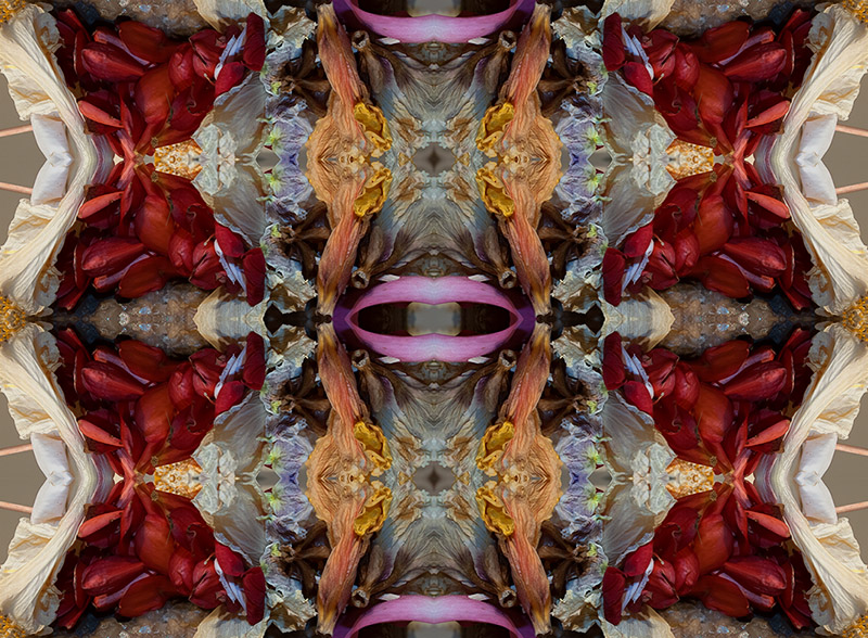 Composizione di avanzi floreali