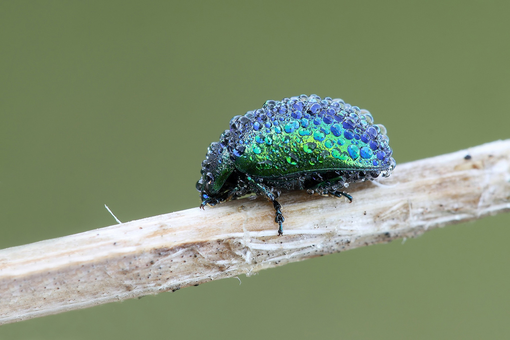 Sono Solo Sfumature...!!!