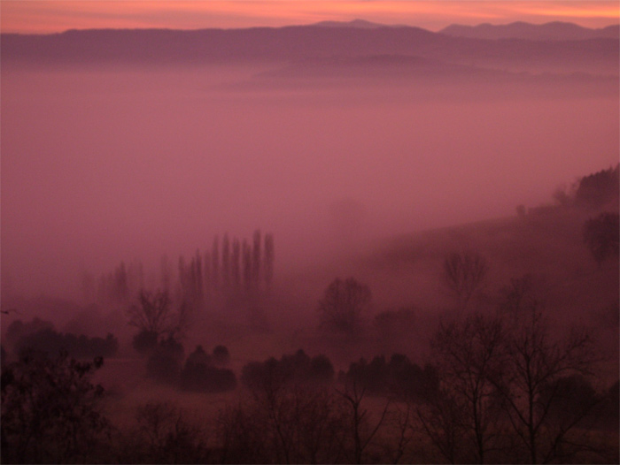 nebbia al tramonto